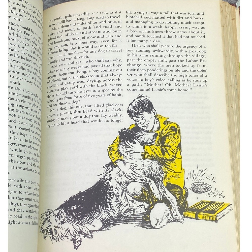 The Bookshelf for Boys and Girls Hardcover Book Volume VIII Bookland Classic Vtg - Picture 9 of 13